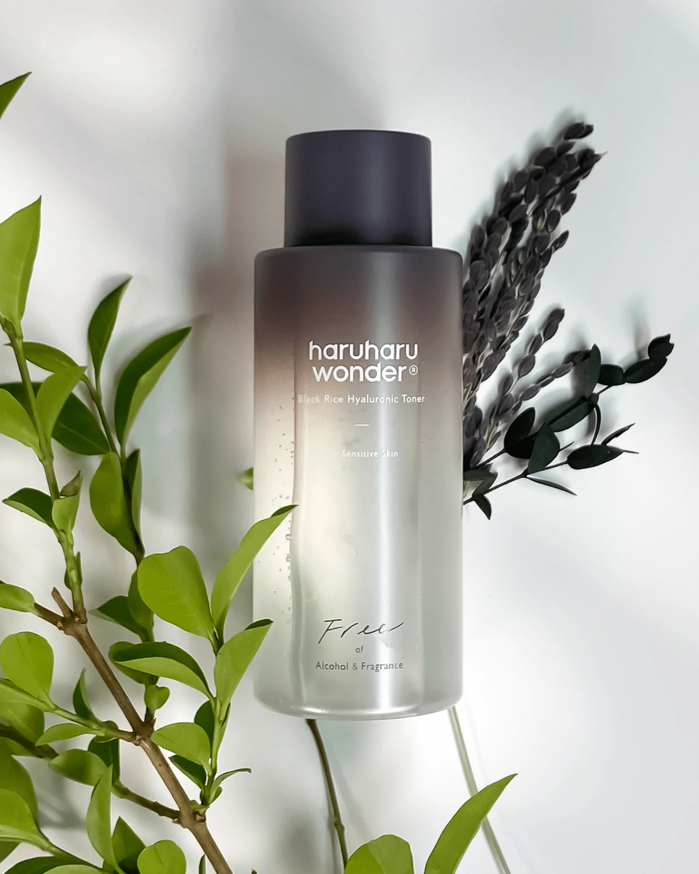 Black Rice Hyaluronic Toner For Sensitive Skin - Image 9