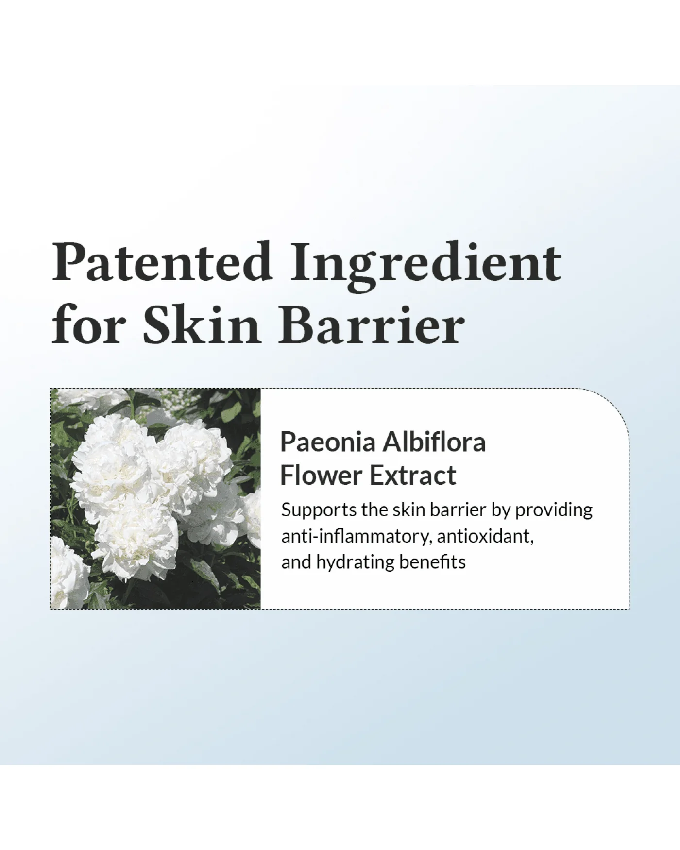147 Barrier Cream - Image 7