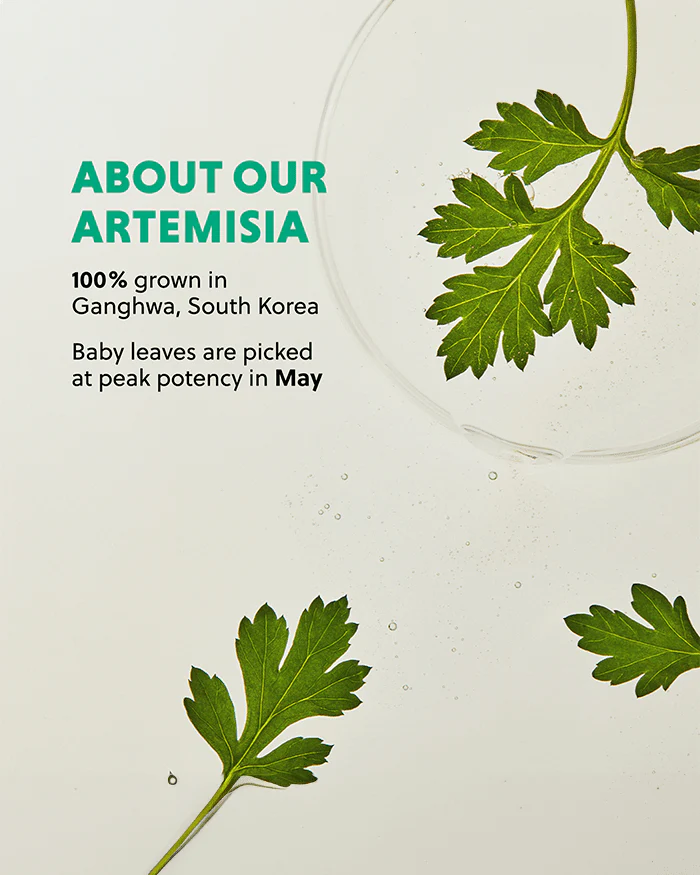 Artemisia Soothing Toner - Image 5