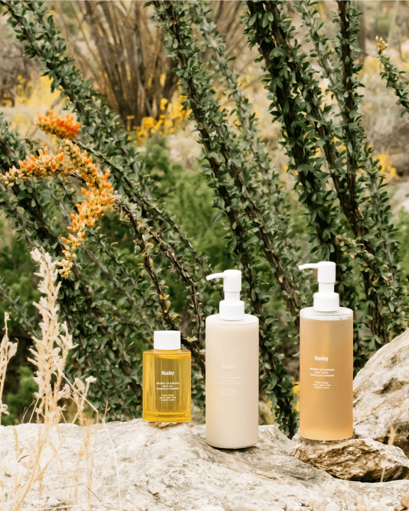 Body Oil - Moroccan Gardener - Image 7