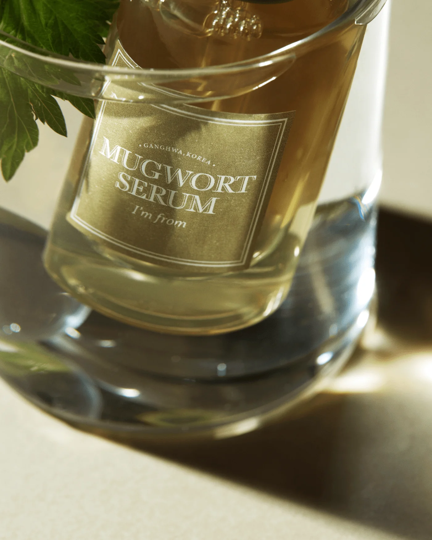 Mugwort Serum - Image 5