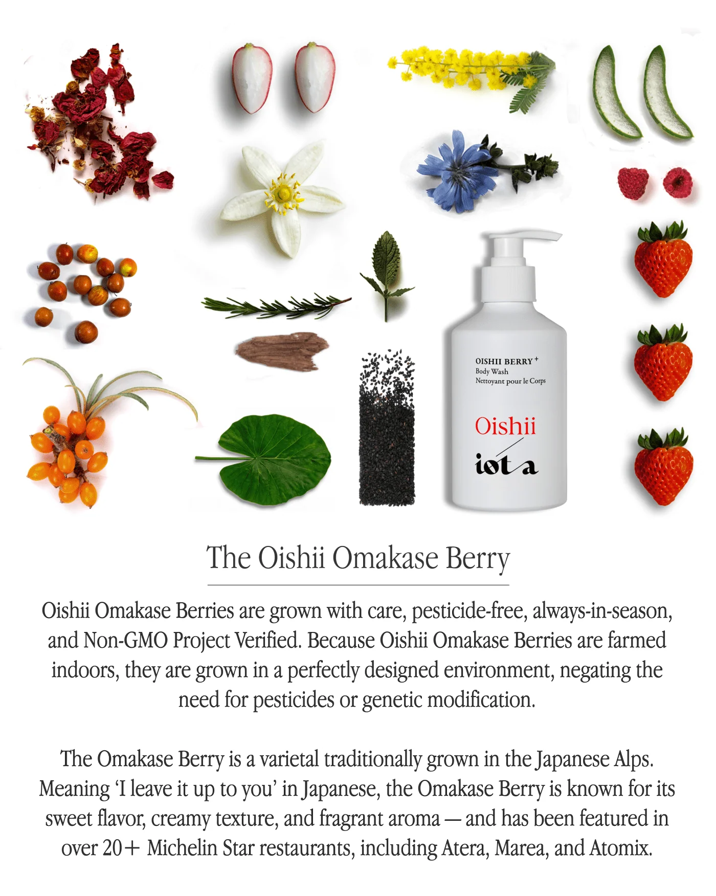 Oishii Berry Body Wash+ - Image 5