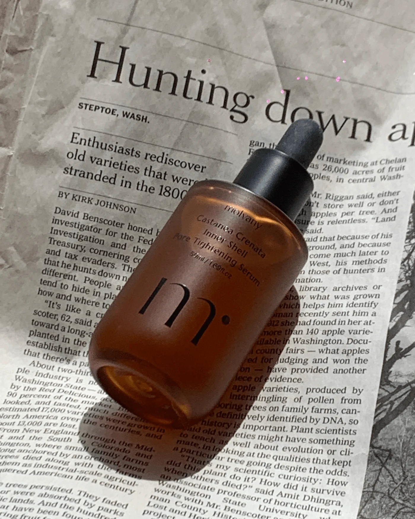 Castanea Crenata Inner Shell Pore Tightening Serum - Image 4