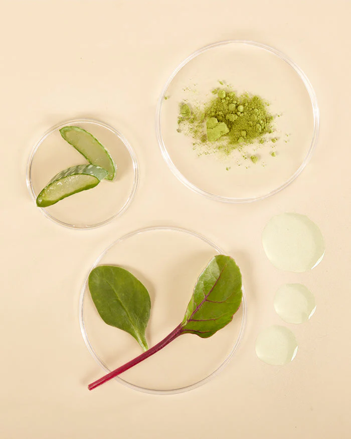 Plant-Rich Antioxidant Pore Cleansing Oil - Image 2