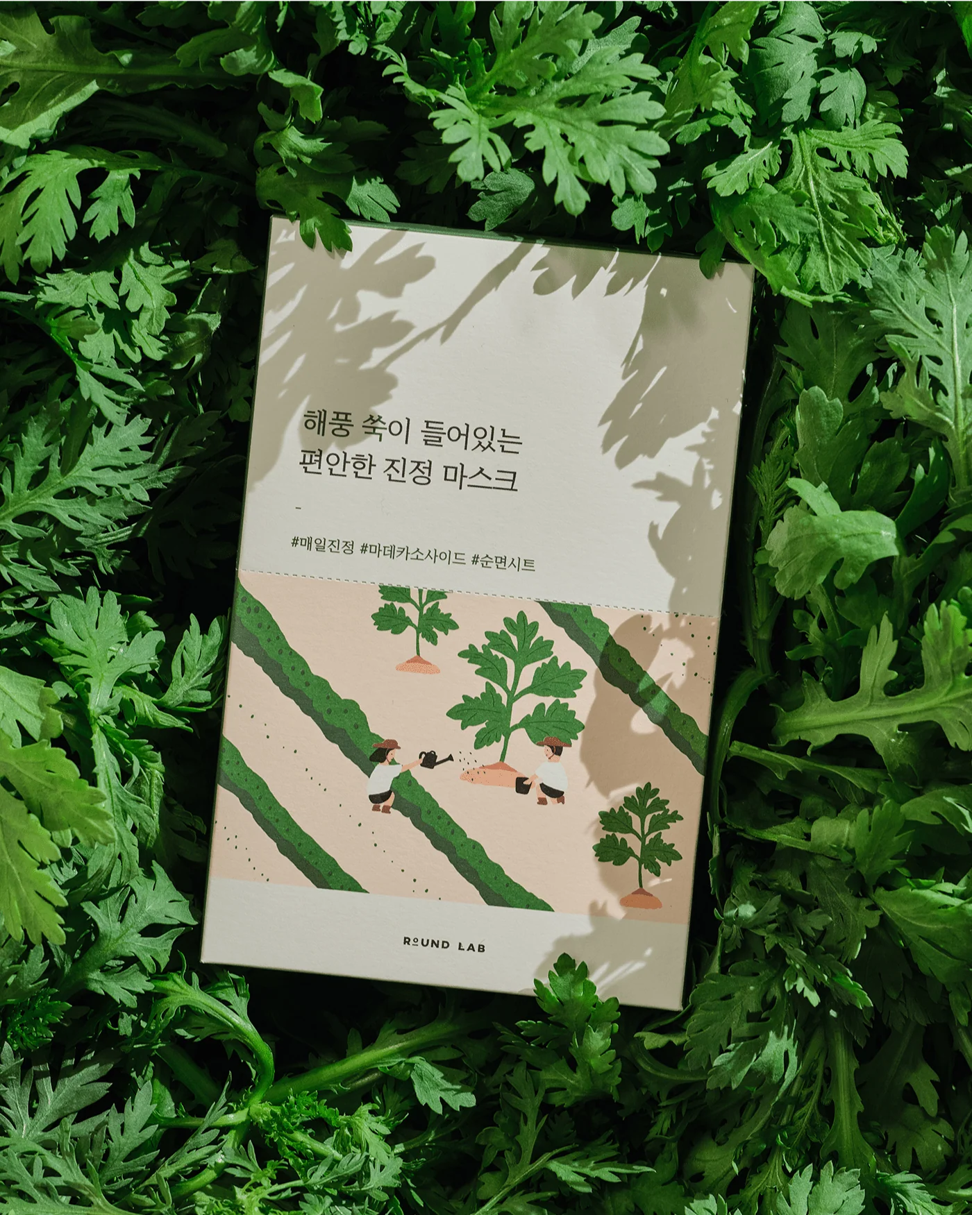 Mugwort Calming Sheet Mask (10 Pack) - Image 5