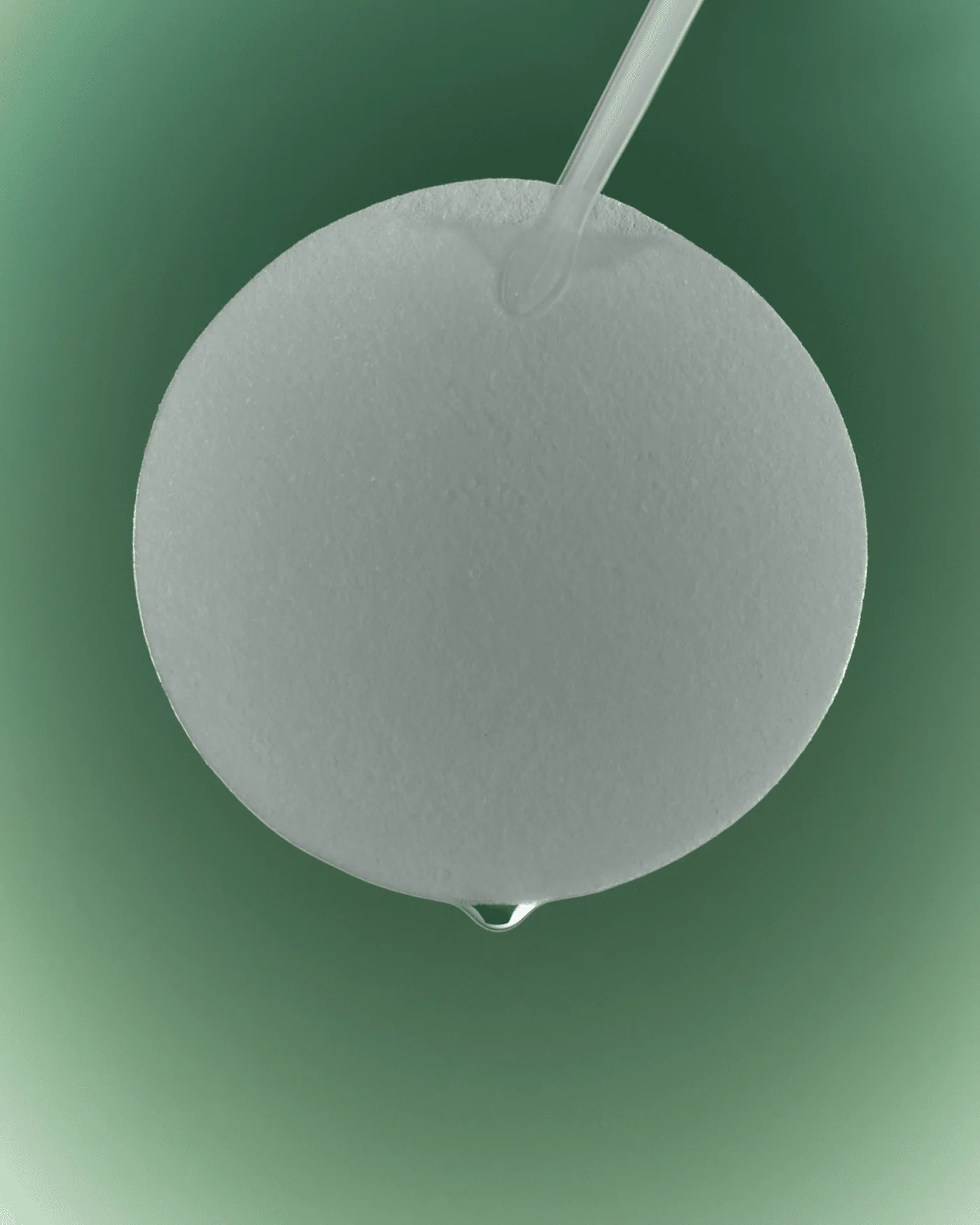 Green Flavonoid 2.5 Pads - Image 2